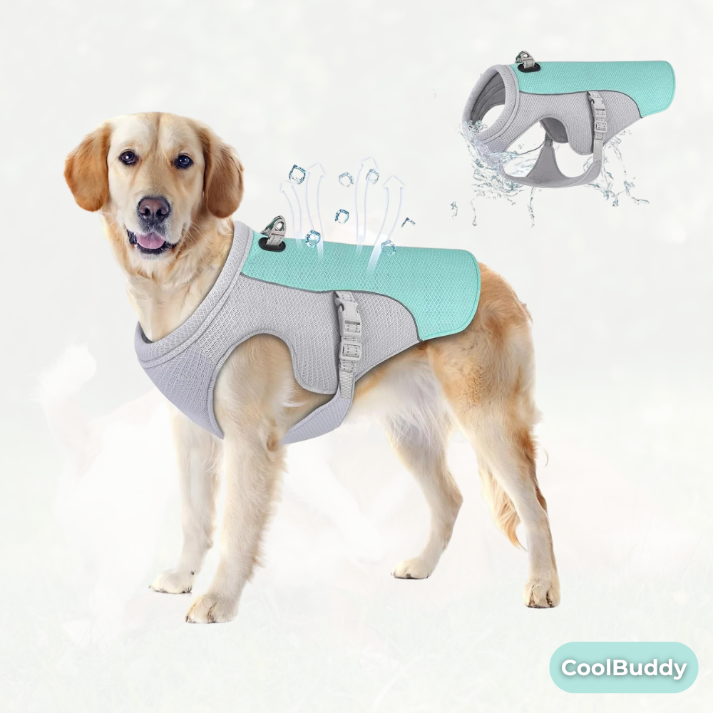 CoolBuddy - Hundekühlweste